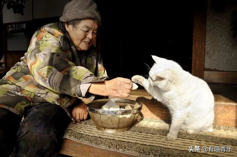 谢谢，福丸！再见，福丸