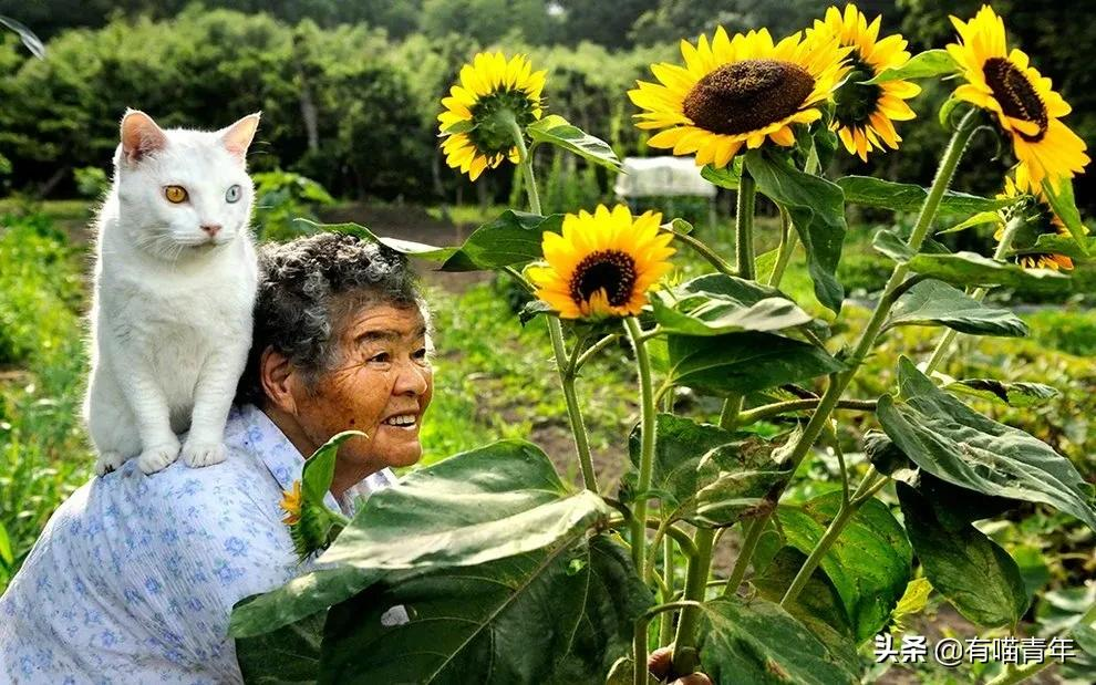 谢谢，福丸！再见，福丸