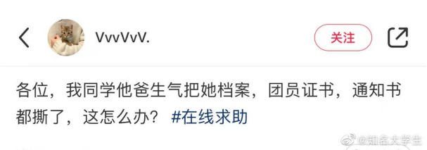 档案被撕毁该怎么办？