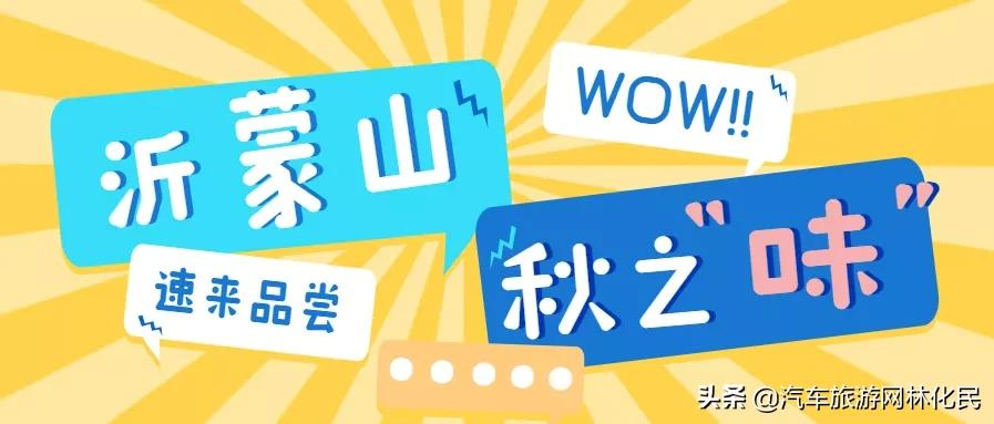 今日起至12月31日，持此券者可以免费游蒙山啦~（文内可领取）