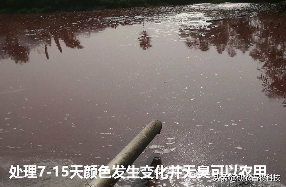沼液快速发酵除臭变成液态有机肥技术，每立方处理成本1元左右