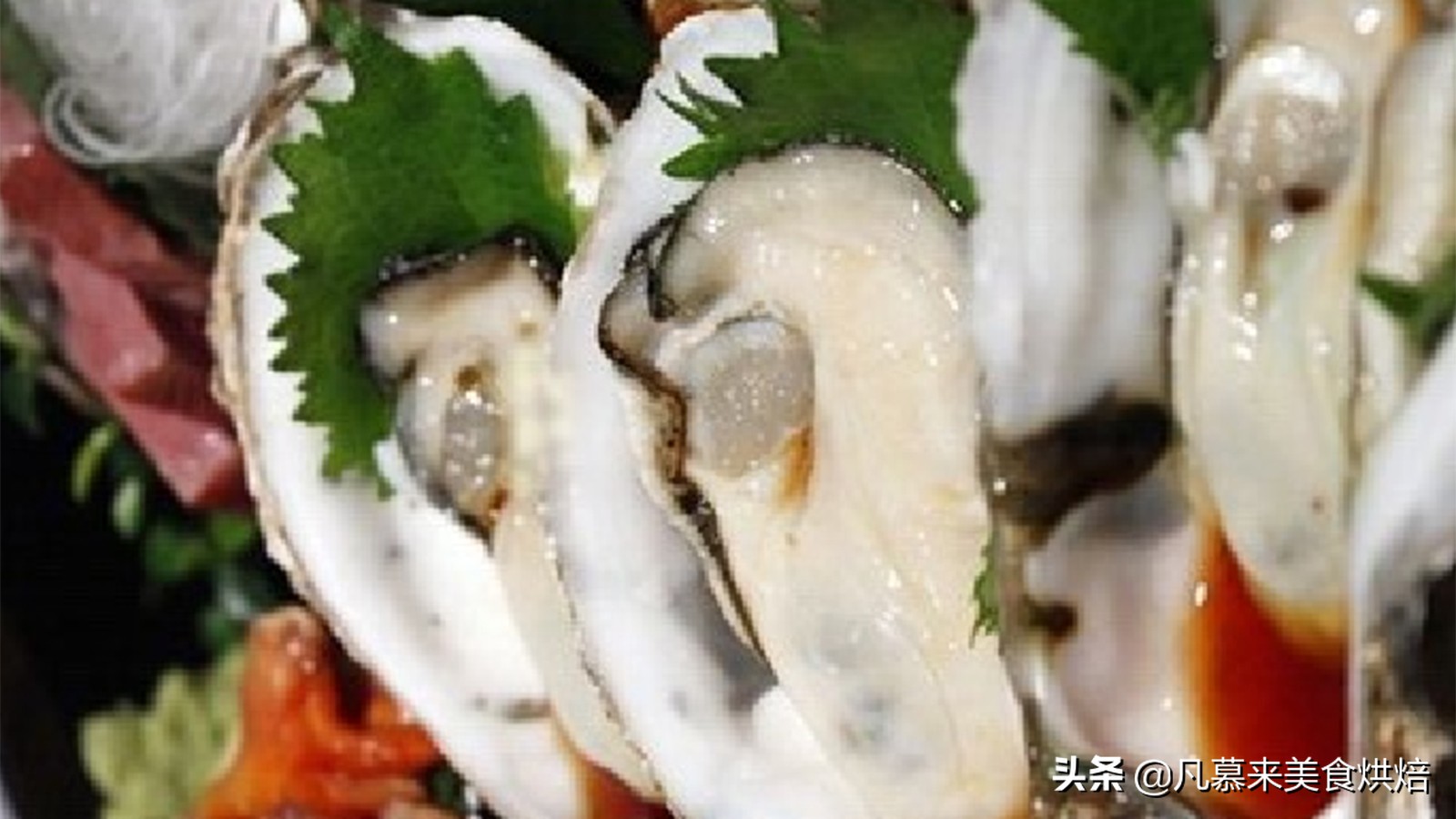 初冬牡蛎最肥美，生吃、烧烤、炸、煲粥等，生蚝的正确吃法20种