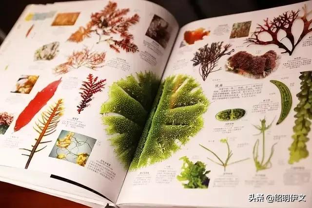 小学生家长问六一儿童节送什么礼物给孩子好，资深老师来告诉你