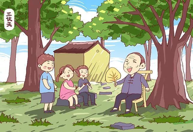 头伏至吃饺子：完美饺子馅调配秘诀