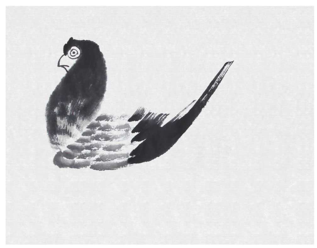 零基础国画教程：分步骤讲解鸽子画法，用浓淡相间的墨色画鸽子