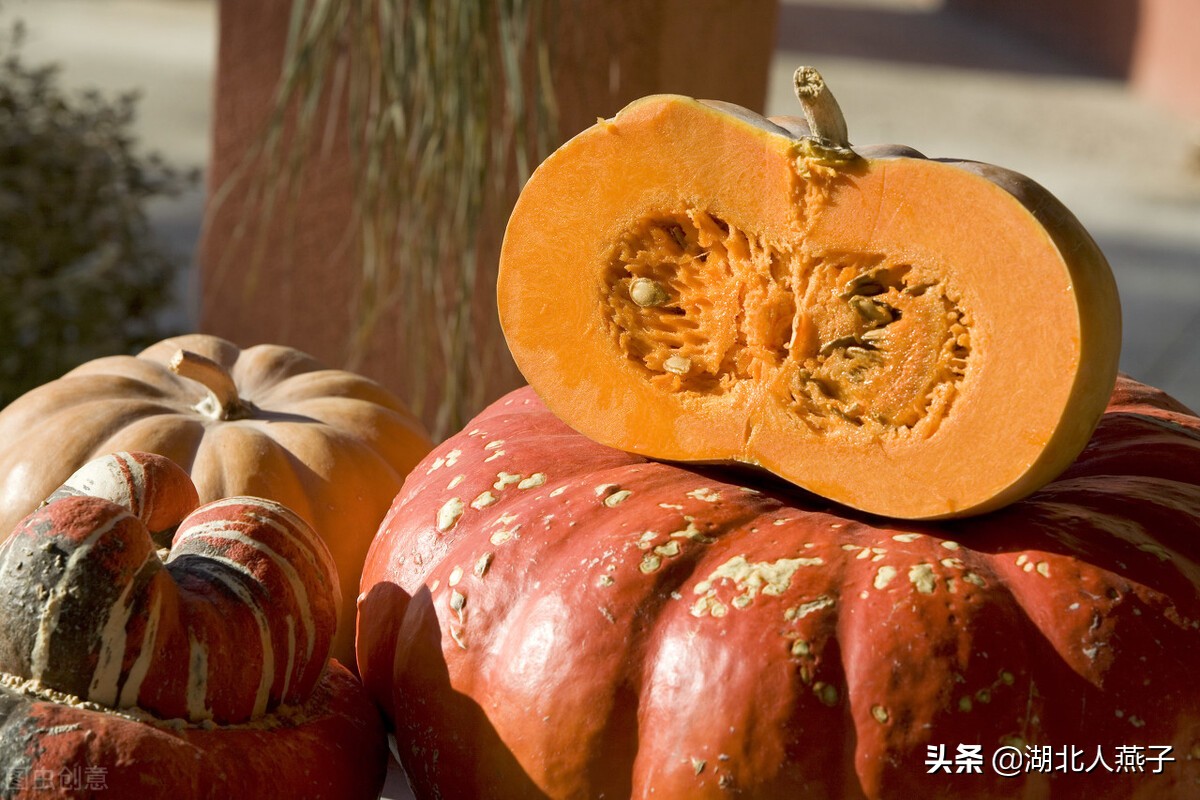 蔬菜有哪些瓜 100种瓜类大全图片和名字-诚智百科网