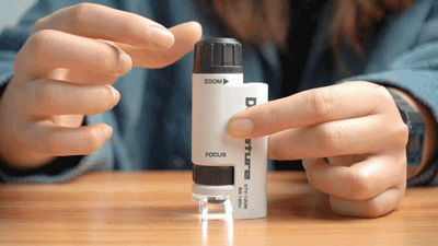 六一节把这两款学习娱乐兼顾的礼物送给孩子，孩子学习优秀又开心