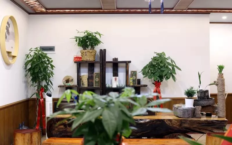 长沙到凤凰古城旅游攻略自由行(长沙张家界凤凰古城自由行攻略)