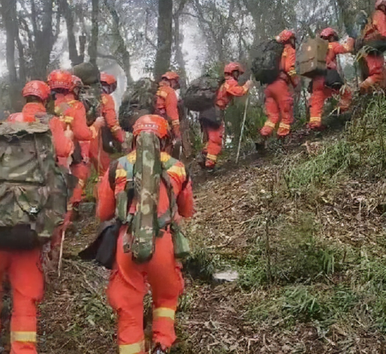 走不出的困境？哀牢山遇难者曾山中转圈，遭遇“鬼打墙”后又失温