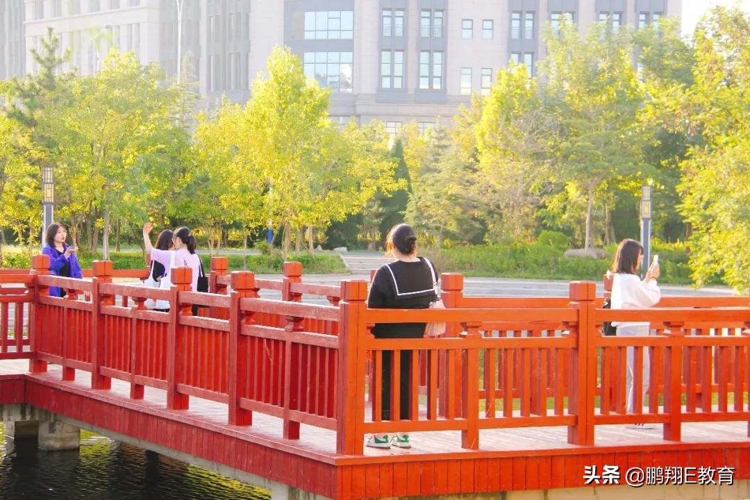 拾起一枚秋叶，点亮山东中医药高专的秋