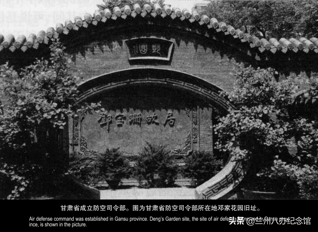 在线观展 