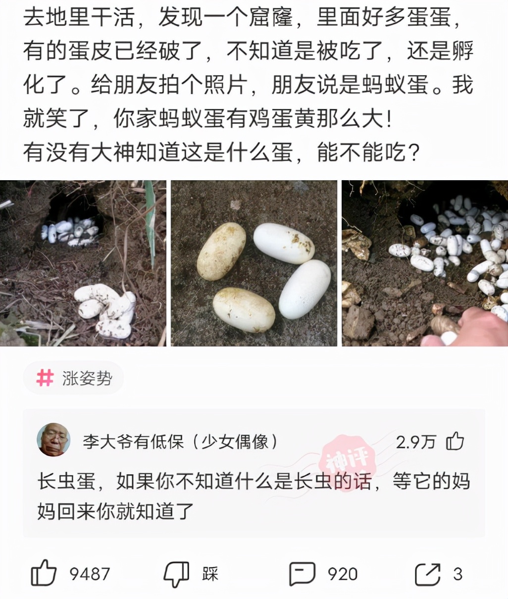 哈哈，为什么自己女朋友穿黑丝看着别扭，别人女朋友却那么好看呢