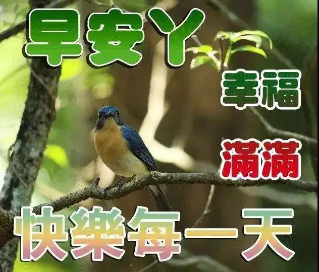 鸟语花香唯美句子（清晨鸟语花香唯美句子） 第3张