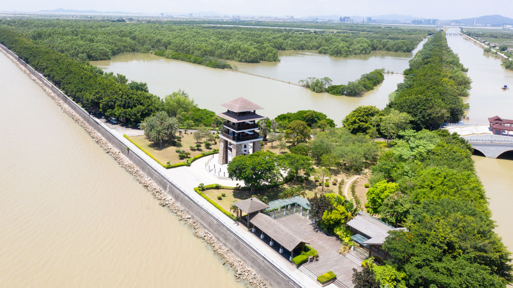南沙湿地公园广州的西溪湿地