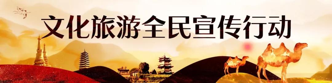 梦见开地修土什么征兆