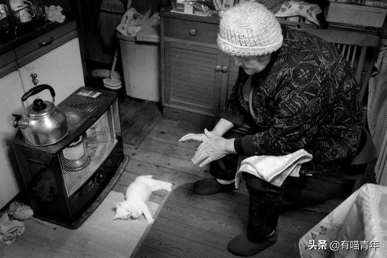谢谢，福丸！再见，福丸