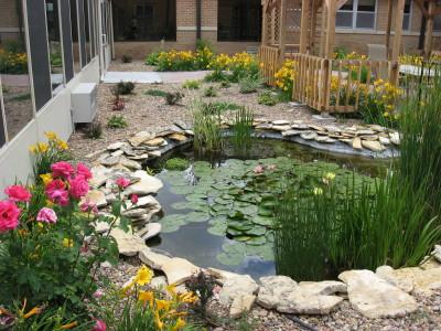 花园只有造个锦鲤鱼池，才能堪称最美庭院