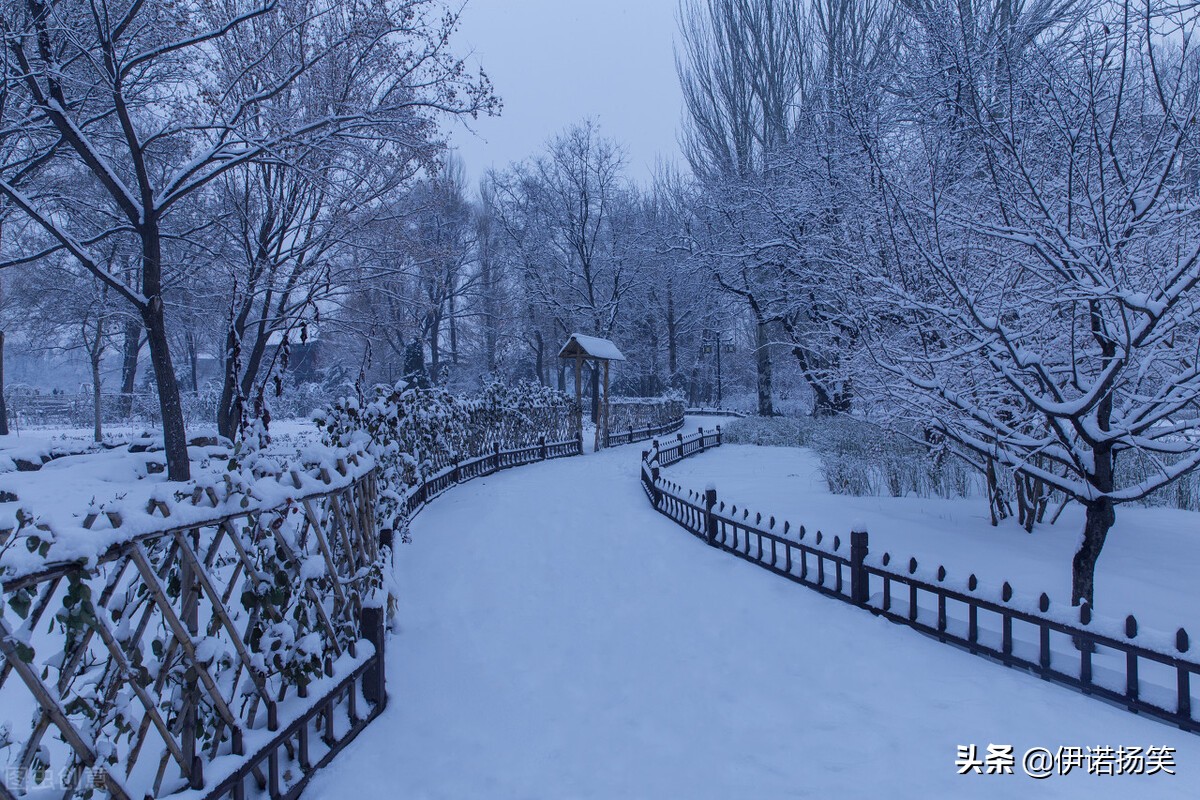 四年级（上册）语文课本里的古诗