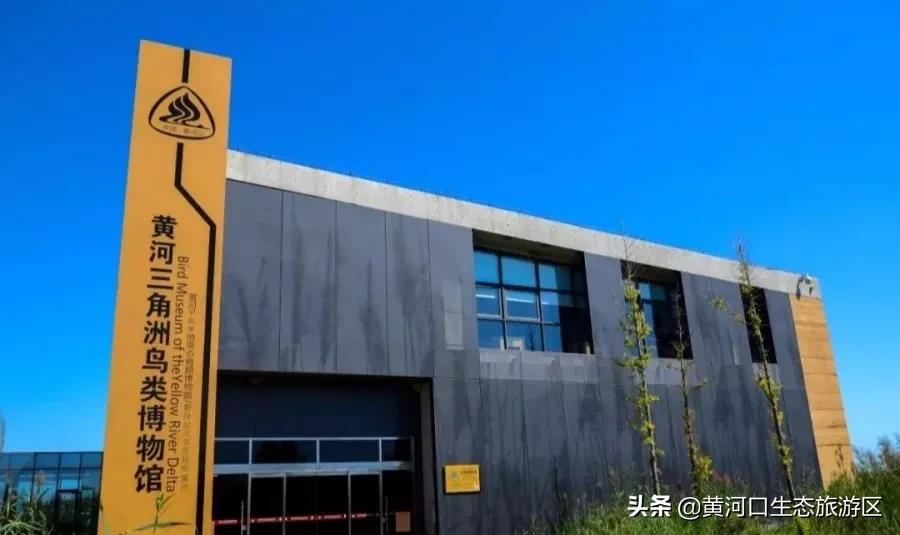 【黄河口生态旅游区】秋思黄河口