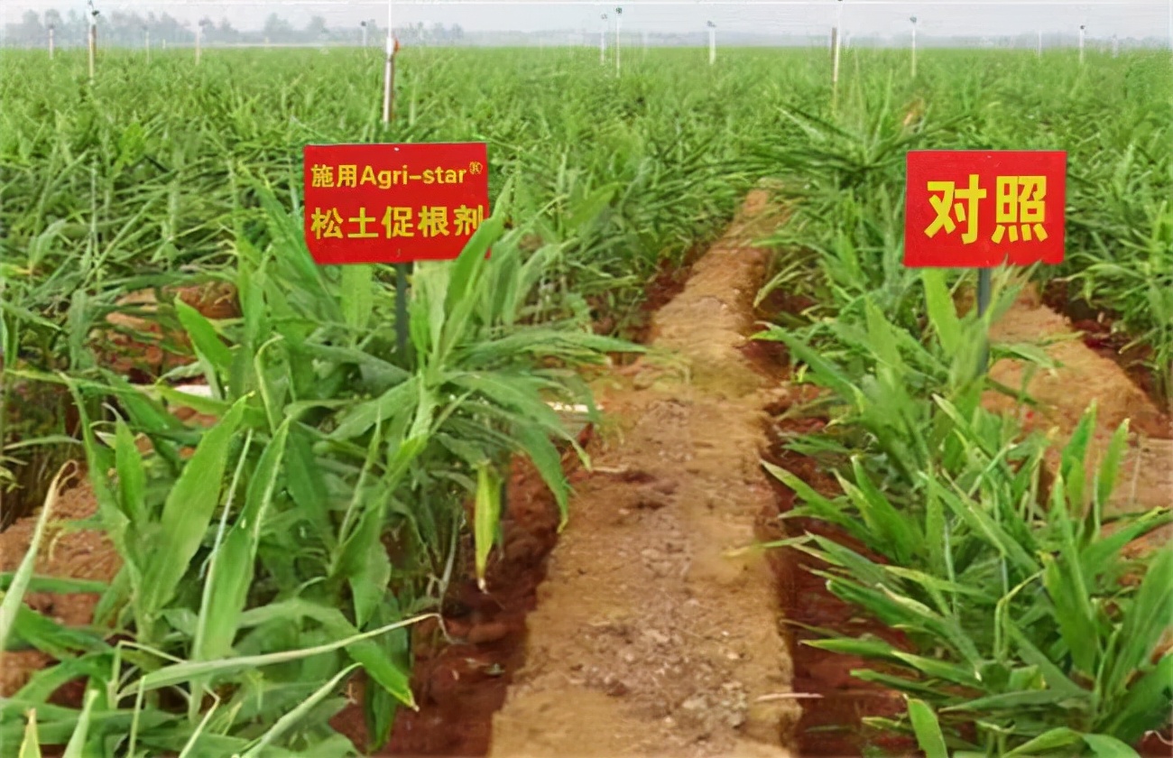 土壤改良培肥地力，找對方法事半功倍