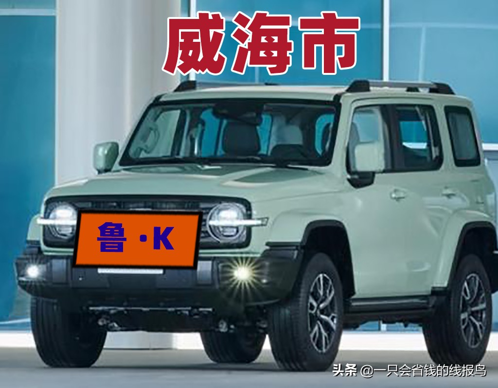 å±±ä¸œçœ�æ±½è½¦ç‰Œç…§æŒ‰ç…§å&shy;—æ¯�æ�’åº�