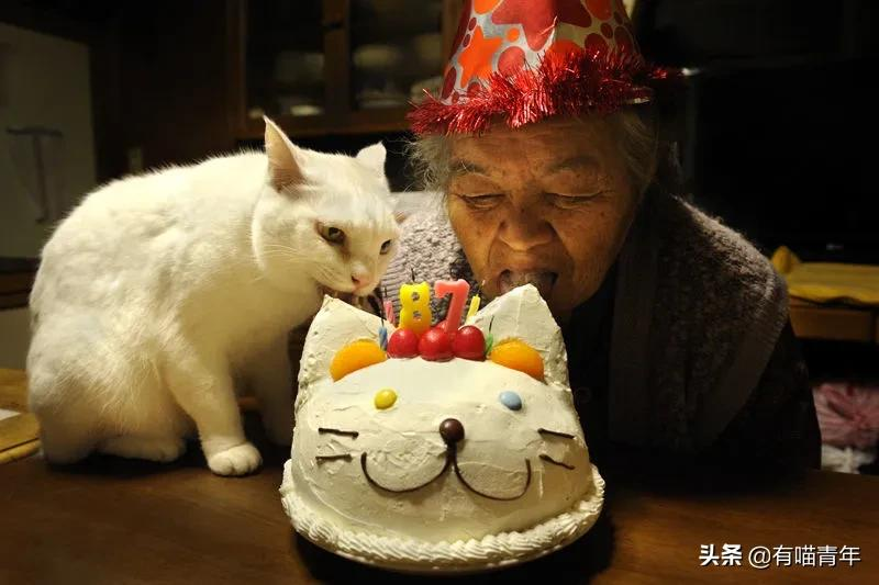 谢谢，福丸！再见，福丸