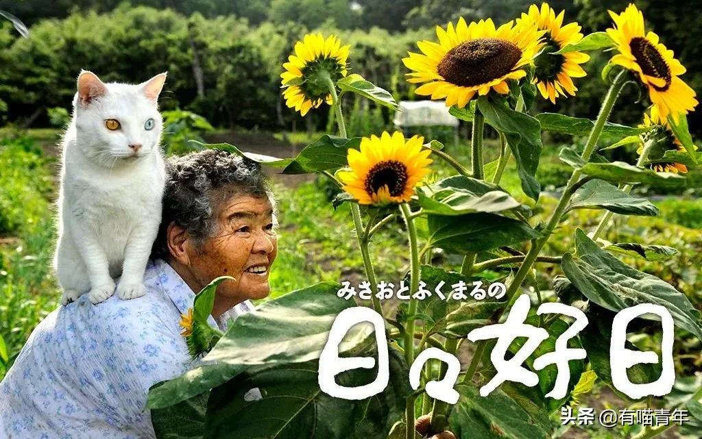 谢谢，福丸！再见，福丸