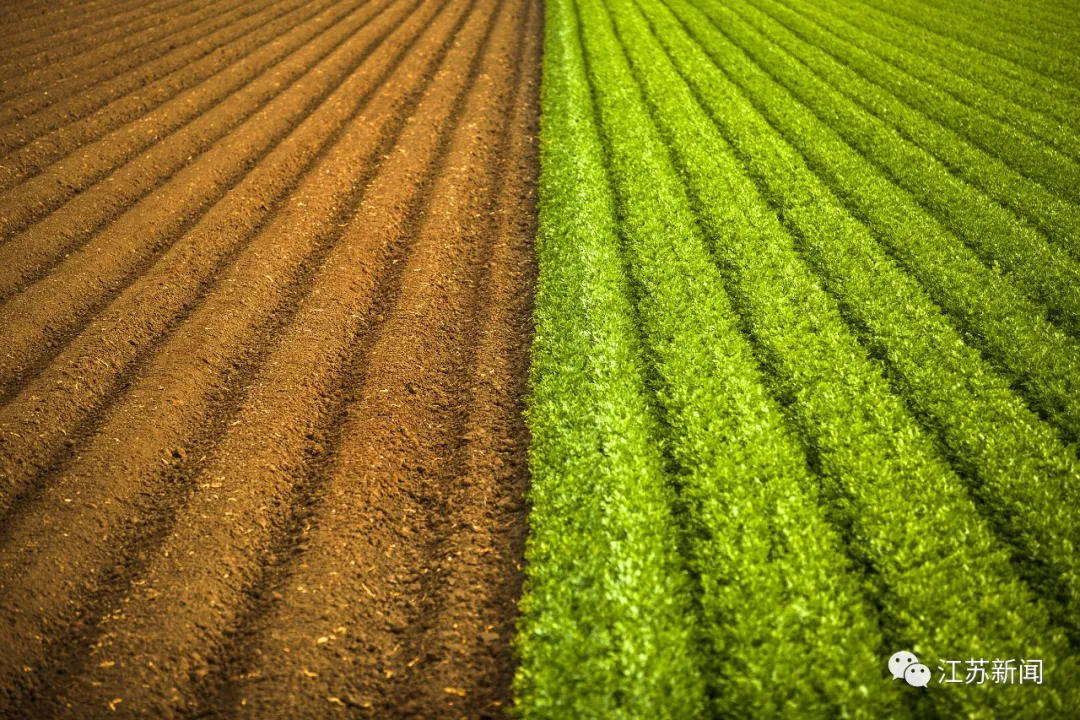 人多地少的江苏，如何确保土地的数量和质量？这张图能告诉你答案