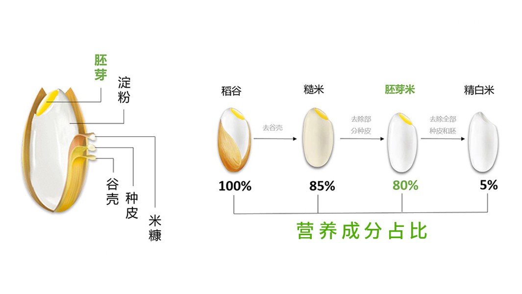 小区里竟然可以在智能碾米机买到新鲜大米？