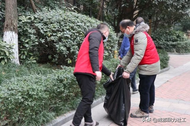 活动回顾丨双柏社区“爱卫运动，有你有我”1月主题党日