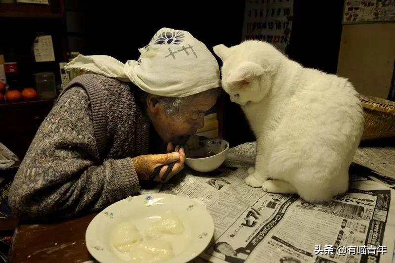 谢谢，福丸！再见，福丸