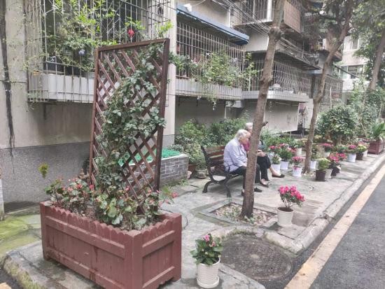 成都长庆社区院落里的幸福故事：协商共建邻里友善空间创和谐