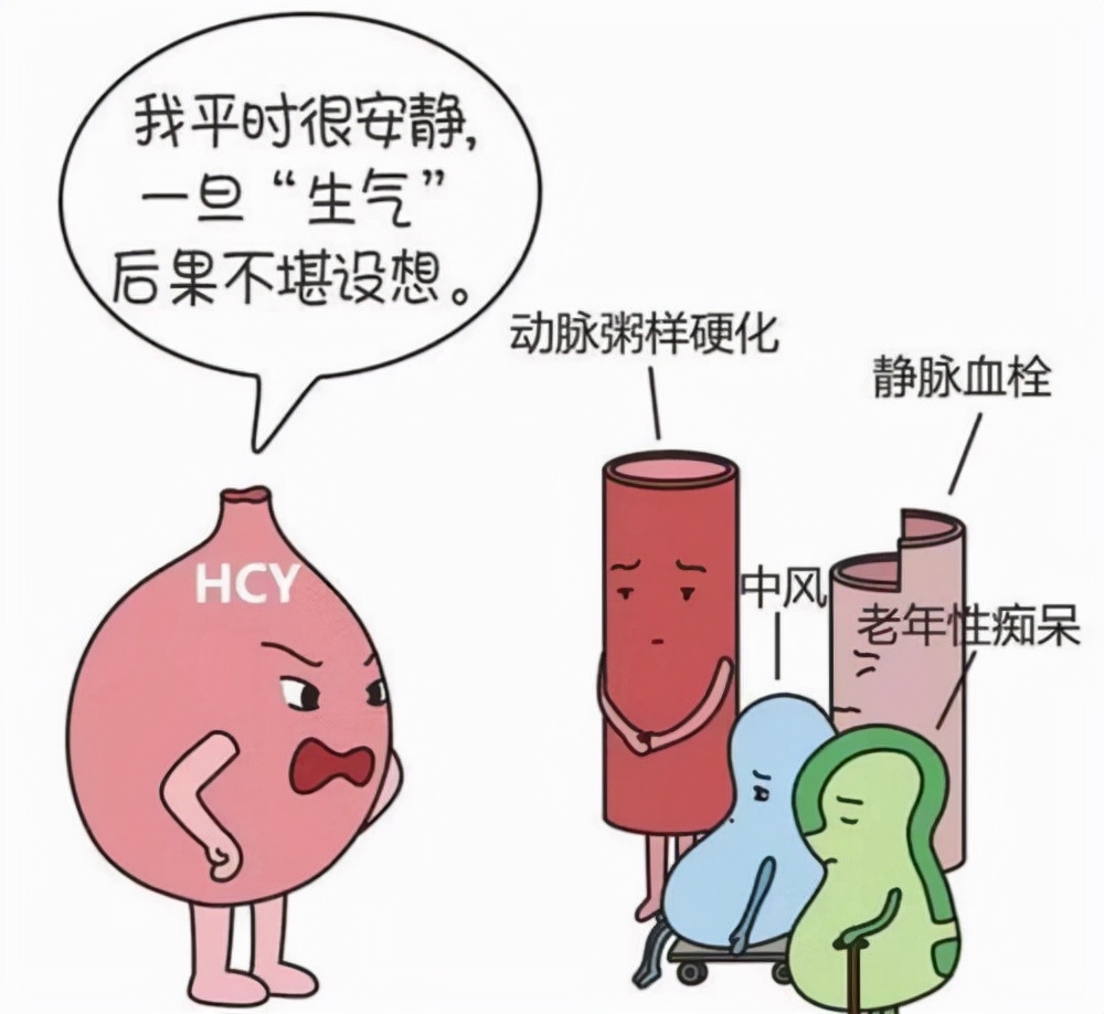比“三高”更可怕地“高血同”，你真的了解吗