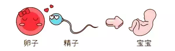 关于试管婴儿的误区,你知道几个?