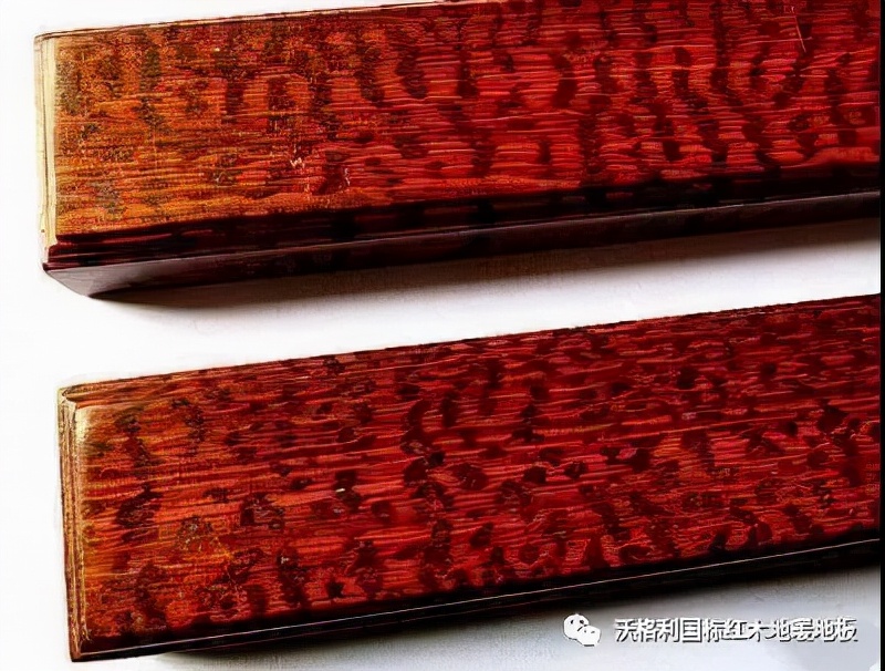 沃格利国标红木大宅地暖地板木材百科全书（三）世界上最硬的木头