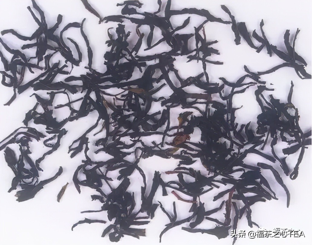 茶百科 | 中國茶葉分類大綱（收藏版）
