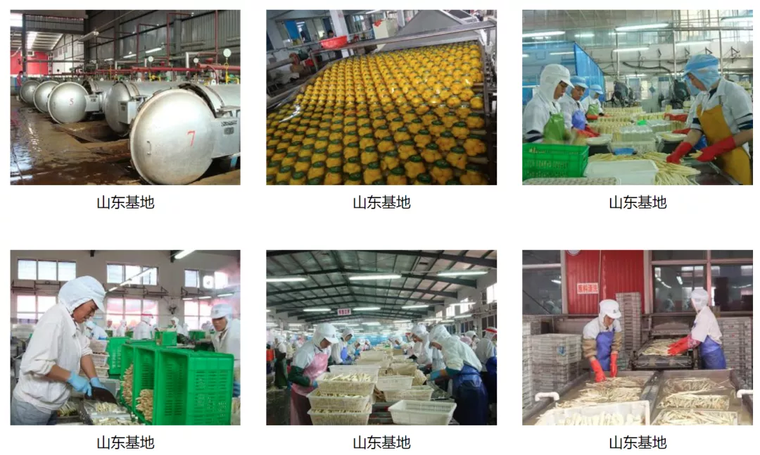 「小罐头•大产业」看“中国罐头之都”引领探索中国味道