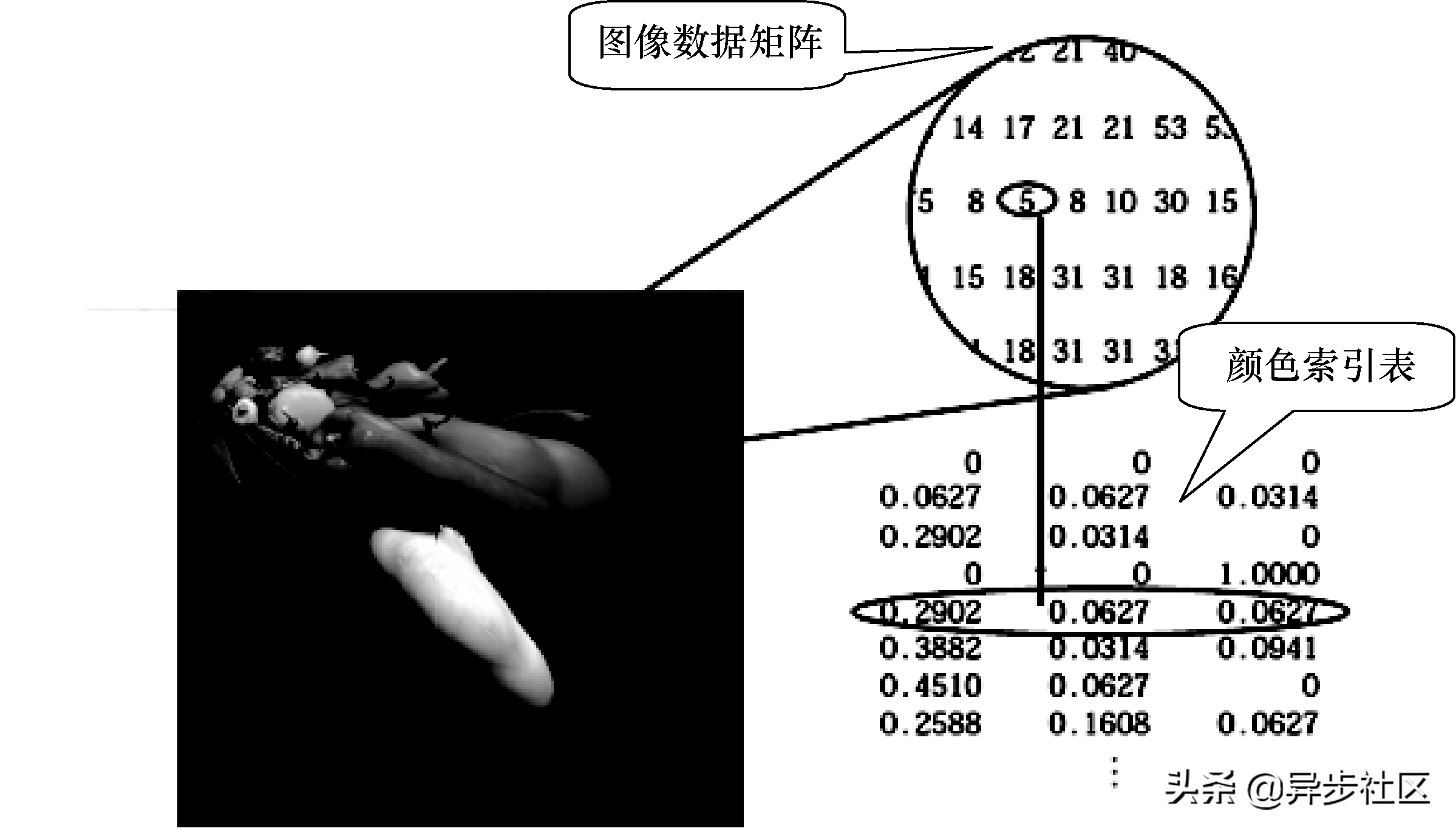 图的存储方式图像的类型可分为什么