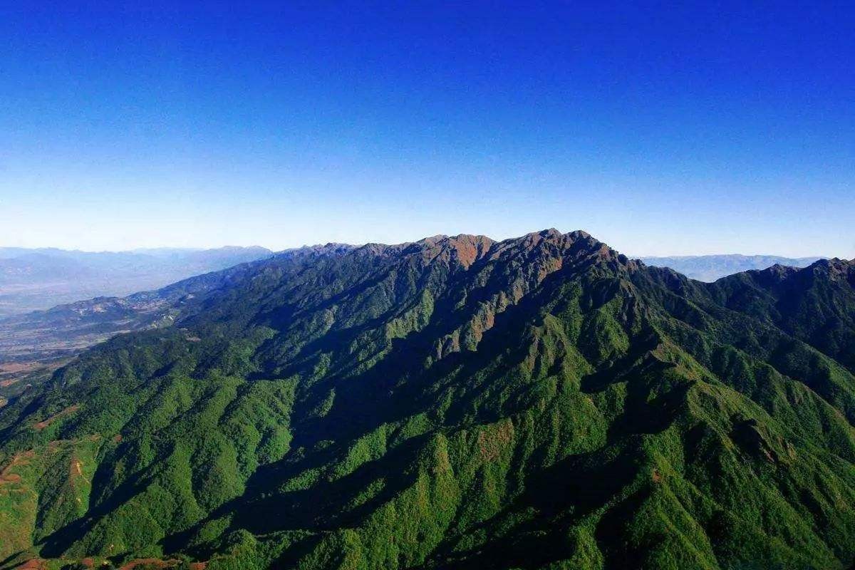 云南不仅有巨蜥，还有巨蛾！比人手还长的巨蛾，为何出现在保山？