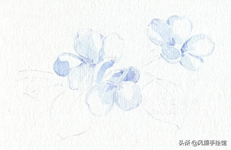 每周一绘 | 春天来啦，一起画梨花吧