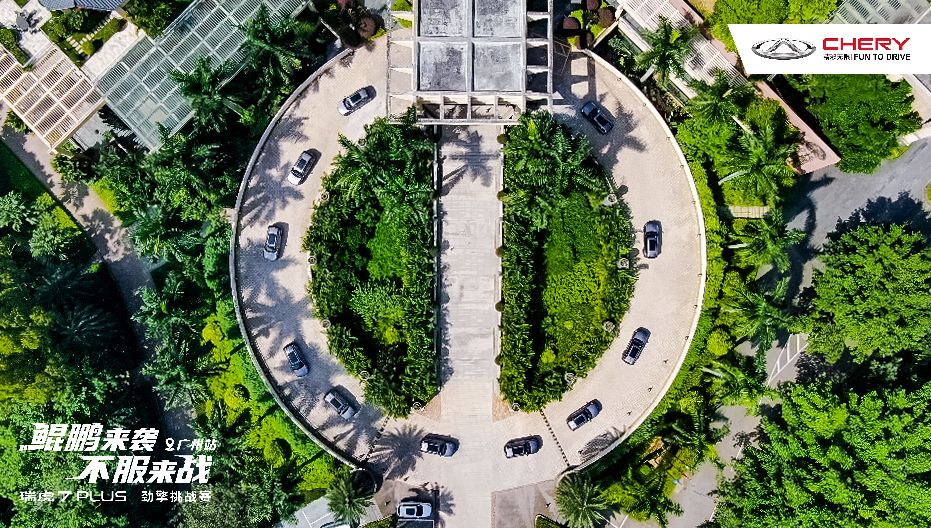 大河报汽车网