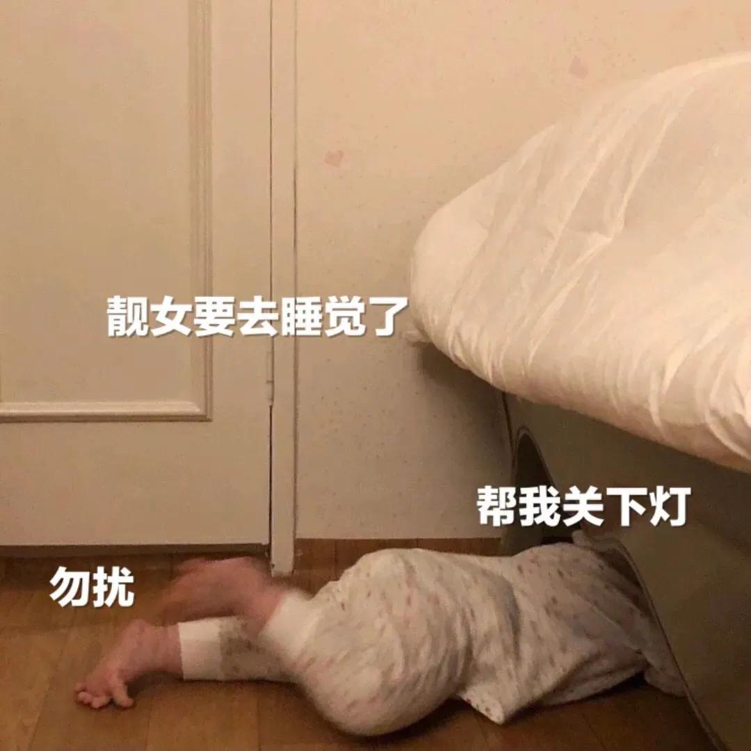 表情包：我错了原谅我吧