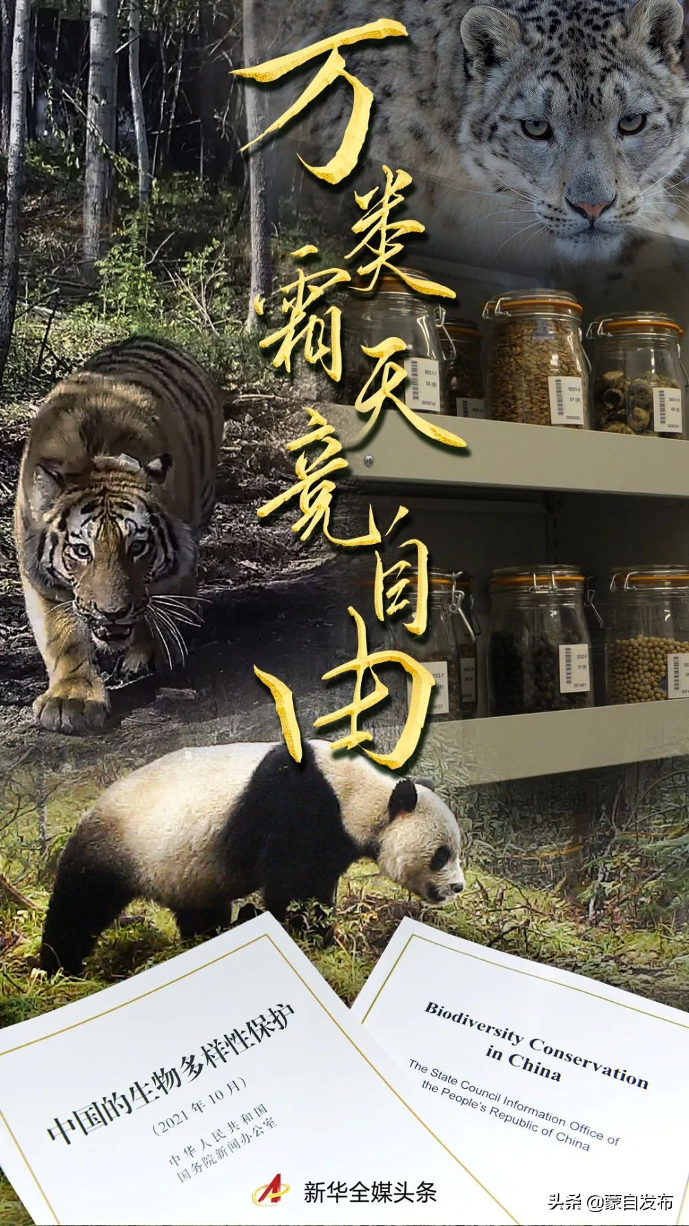 万类霜天竞自由写在生物多样性公约缔约方大会第十五次会议cop15开幕