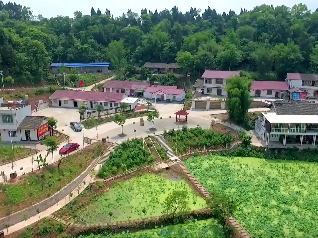 “抓实农村党建，助推乡村振兴”杨岭村跑出加速度