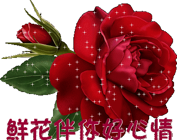 大年初十，十全十美的祝福送給你，願你永遠十全十美
