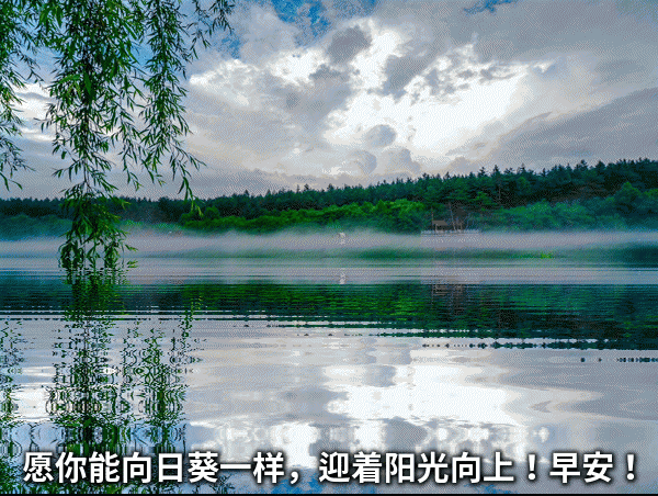 温馨经典的早上问候语大全 给朋友最温暖的祝福语