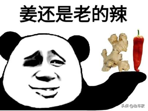 6年的大众尚酷要价13万，粉丝为何执意要买一辆事故车？