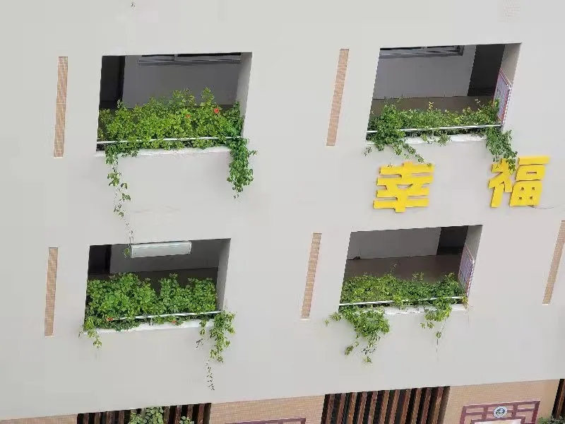 点赞！丰泽这所学校深耕细作，让中医药文化在校园中扎根绽放