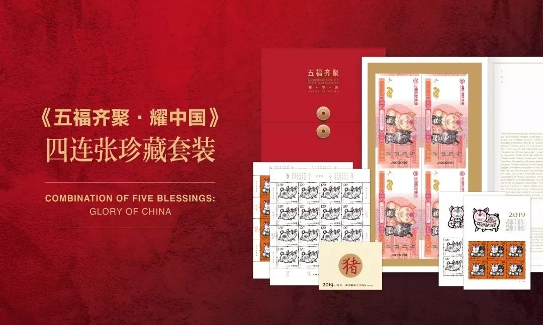 己亥年是什么生肖（乙亥年是什么生肖）