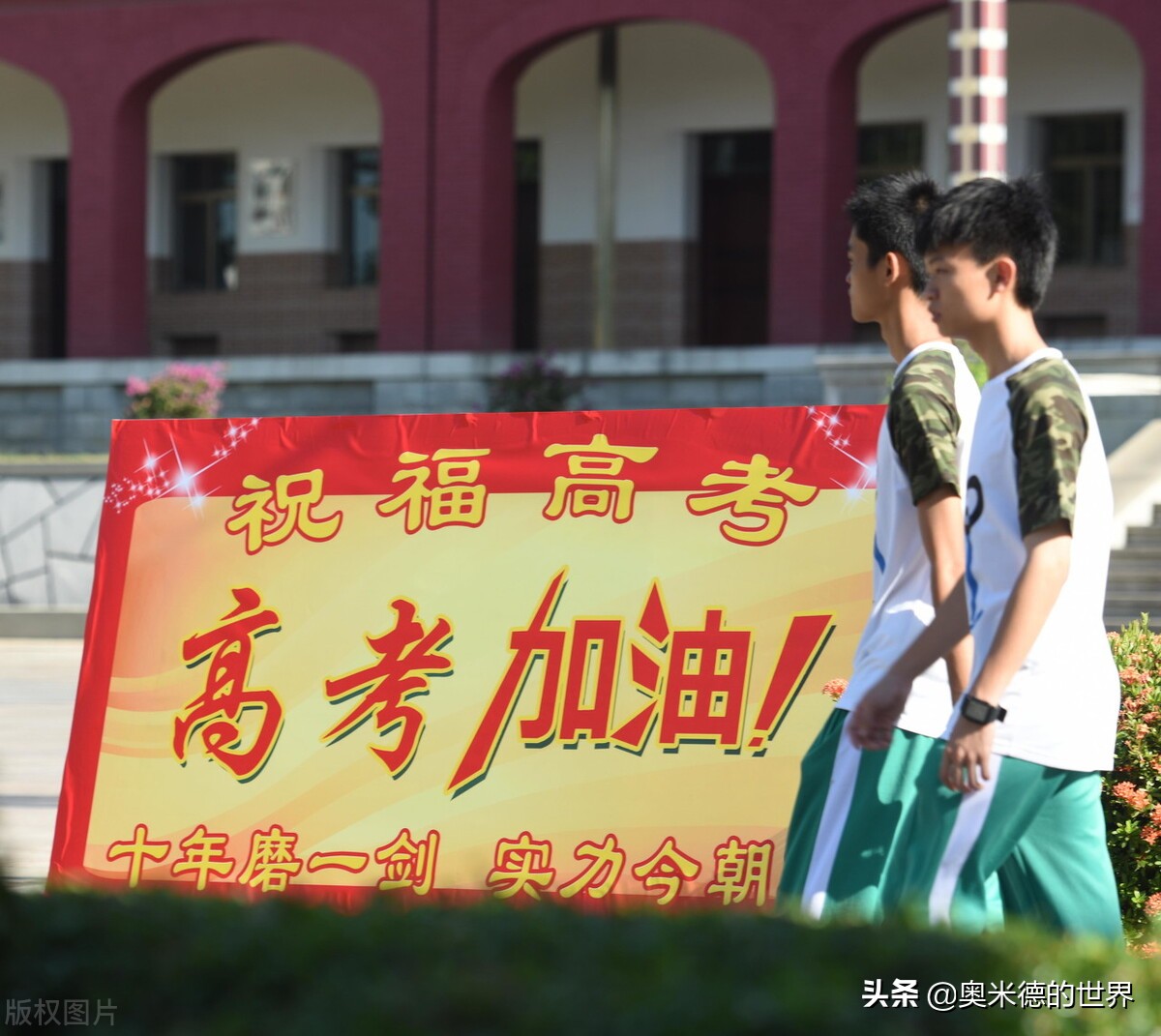 å…³äº�ä¸&shy;å›½å”¯ä¸€çƒ&shy;å¸¦çœ�â€œæµ·å�—â€�çš„20ä¸ªå†·çŸ¥è¯†ï¼Œä½ çŸ¥é�“å‡ ä¸ªï¼Ÿ